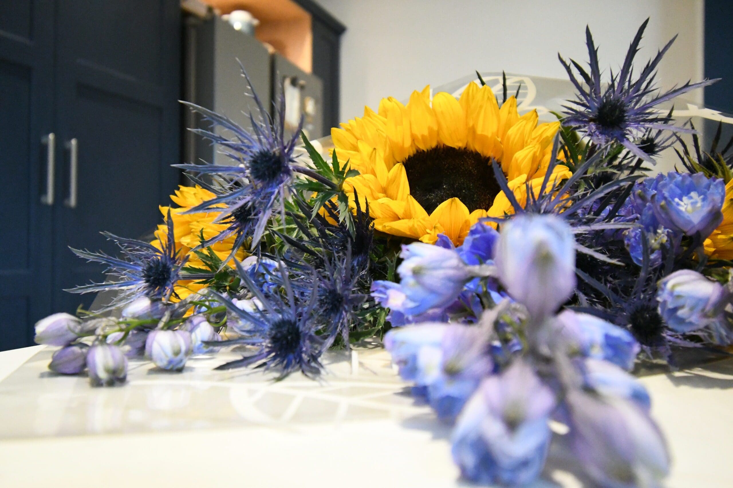 Kaelo in brushed gold finish